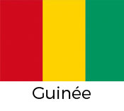 guinee